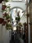 Fotos de La Juder�a de C�rdoba