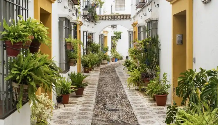 Callejeando por la Judería de Córdoba Callejeando por la Judería de Córdoba